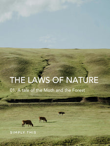 The Laws of Nature - 01
