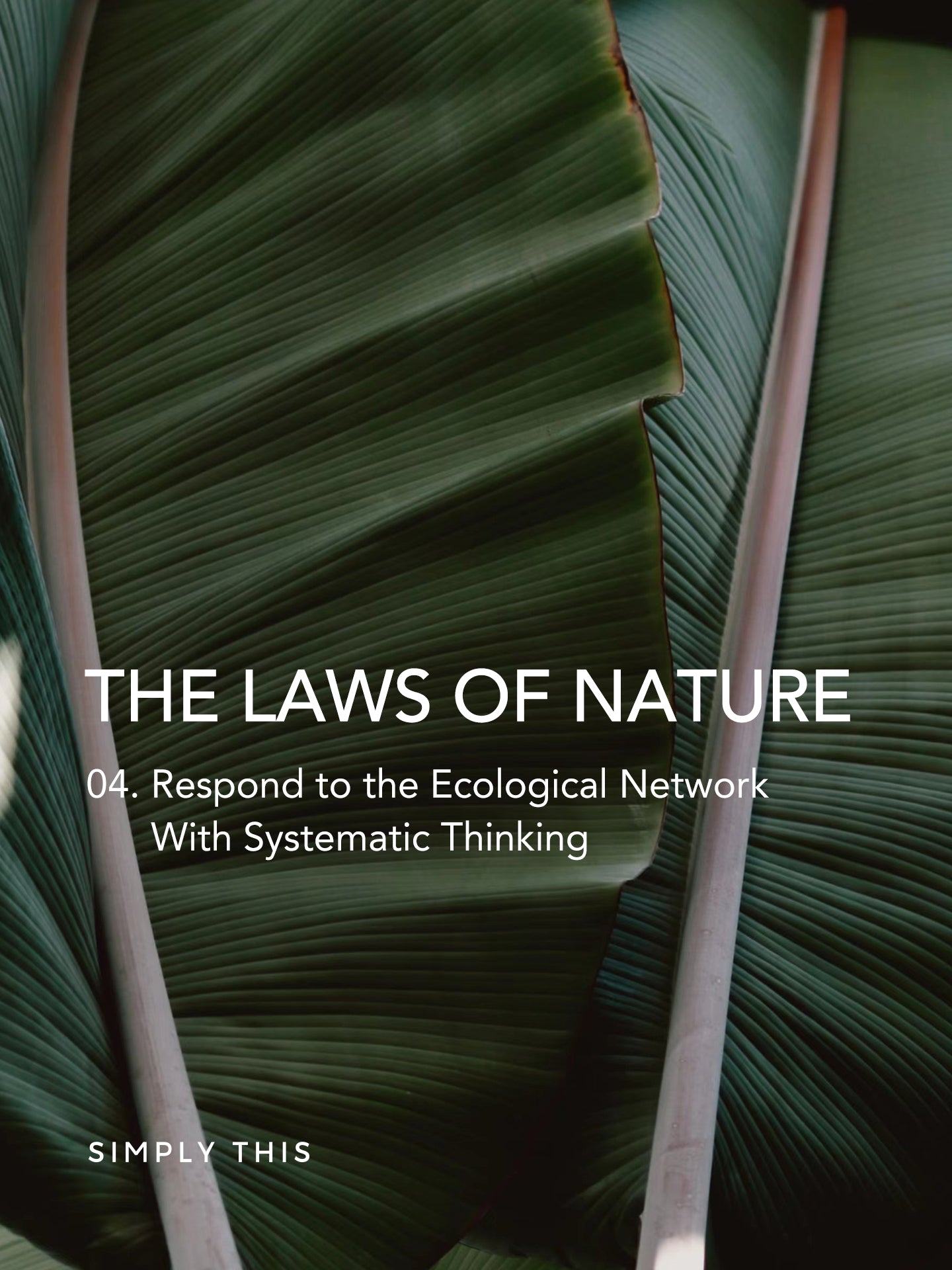 The Laws of Nature - 04 – simplythis